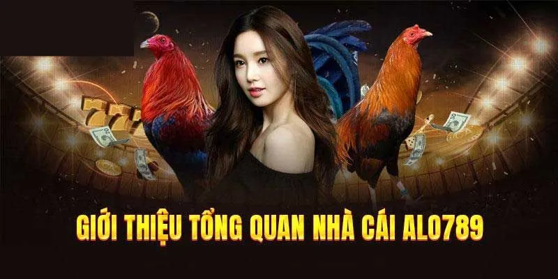 Vài nét cơ bản về sân chơi chọi kê đẳng cấp 