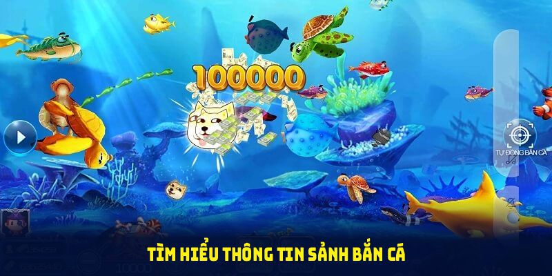 Tìm hiểu thông tin sảnh bắn cá 8KBET